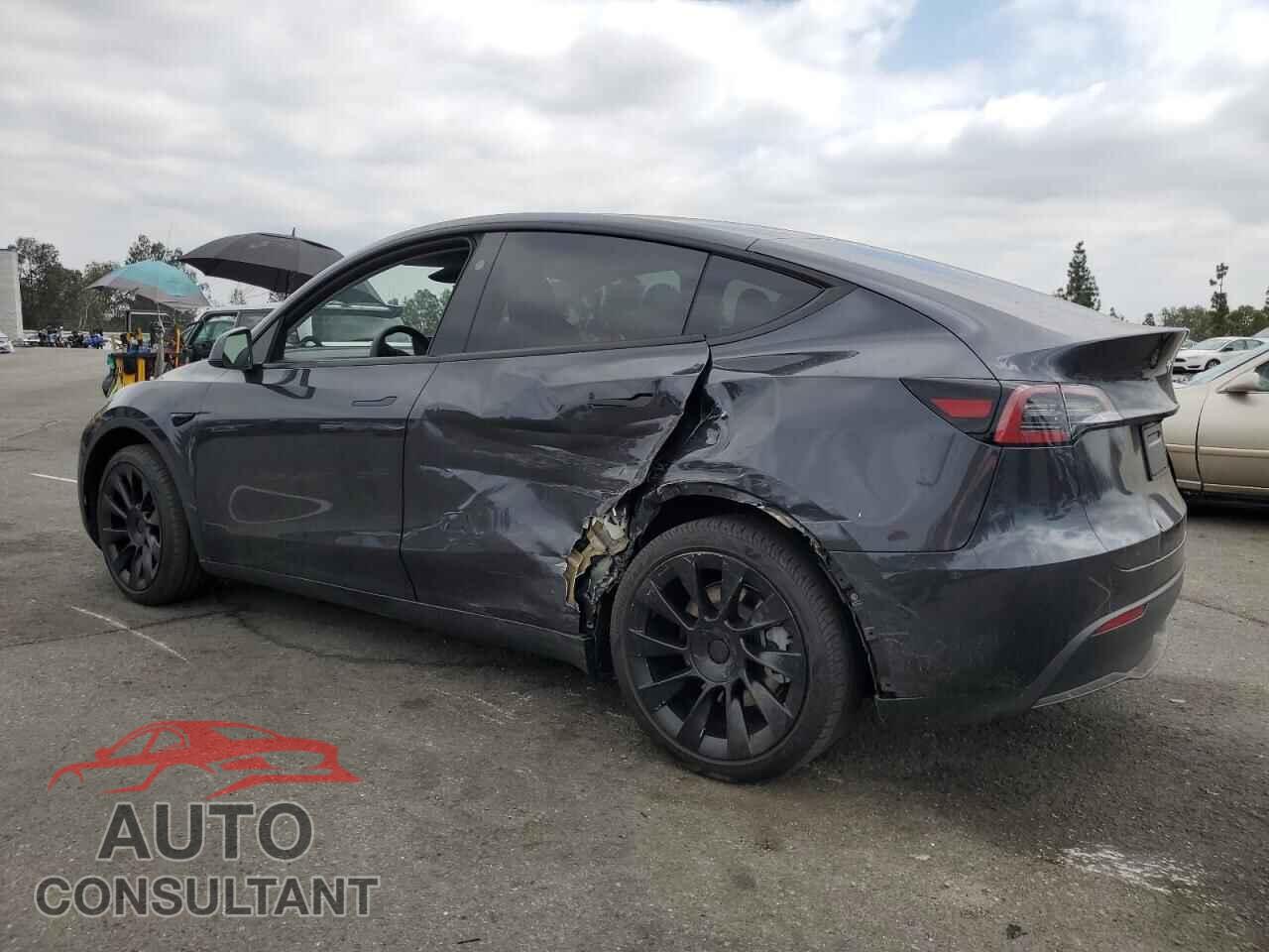 TESLA MODEL Y 2024 - 7SAYGDED3RF097682