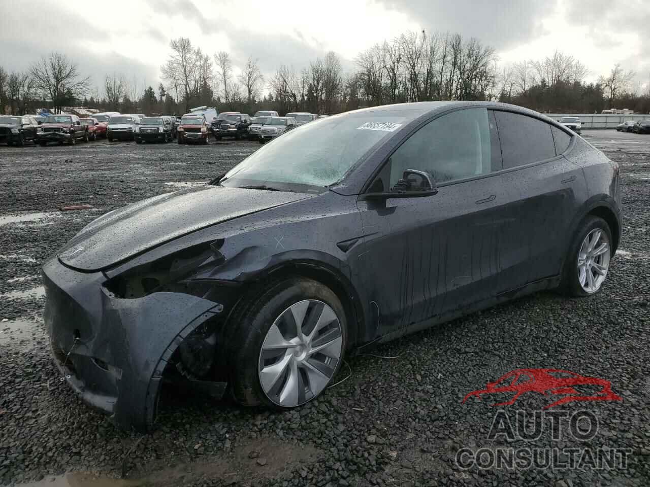 TESLA MODEL Y 2024 - 7SAYGDEE6RF074471