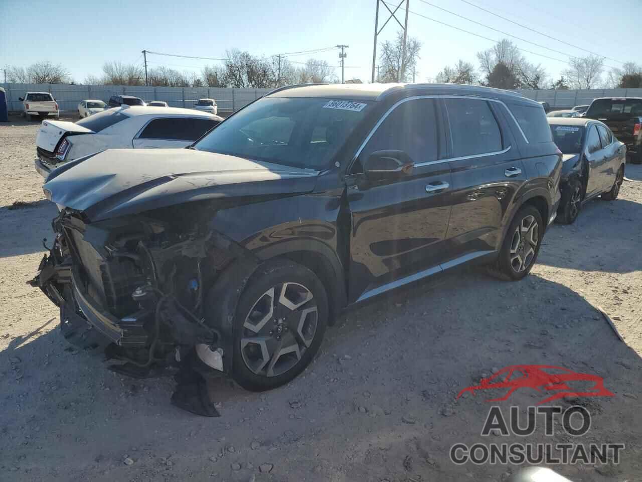 HYUNDAI PALISADE 2024 - KM8R54GE8RU651976