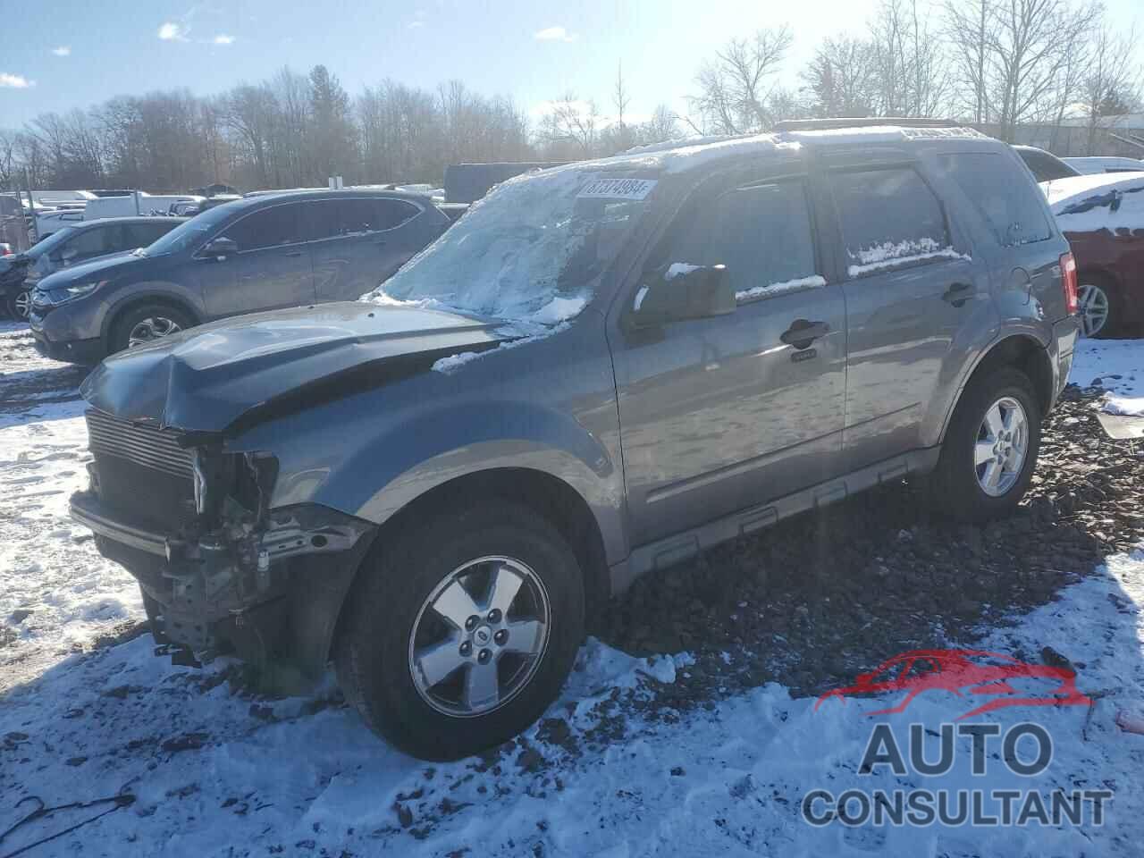 FORD ESCAPE 2010 - 1FMCU0DG7AKC07656