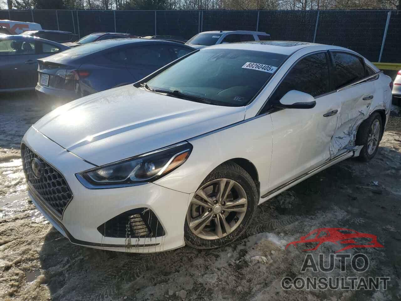 HYUNDAI SONATA 2019 - 5NPE34AF7KH749701
