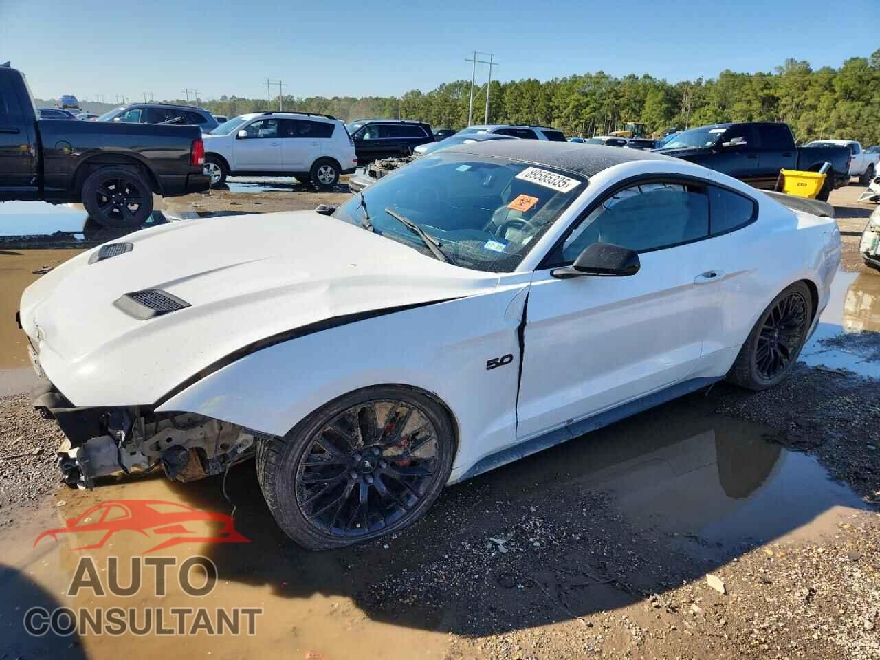 FORD MUSTANG 2019 - 1FA6P8CF0K5151663