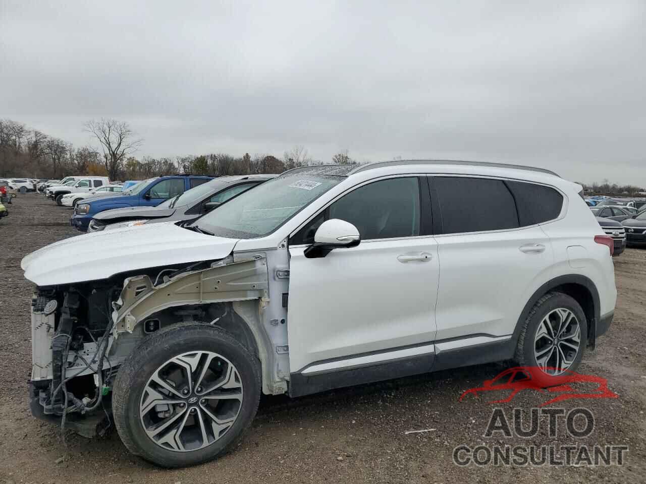 HYUNDAI SANTA FE 2019 - 5NMS5CAA6KH054828