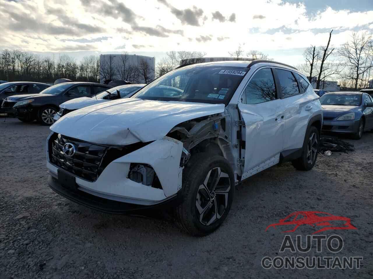 HYUNDAI TUCSON 2023 - 5NMJFCAEXPH242299