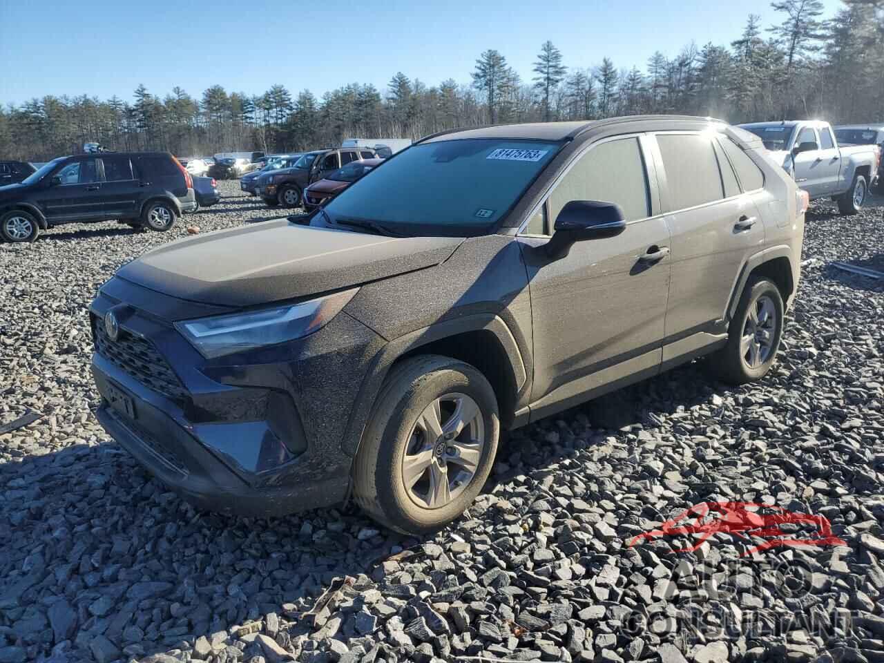 TOYOTA RAV4 2022 - 2T3RWRFV3NW130063