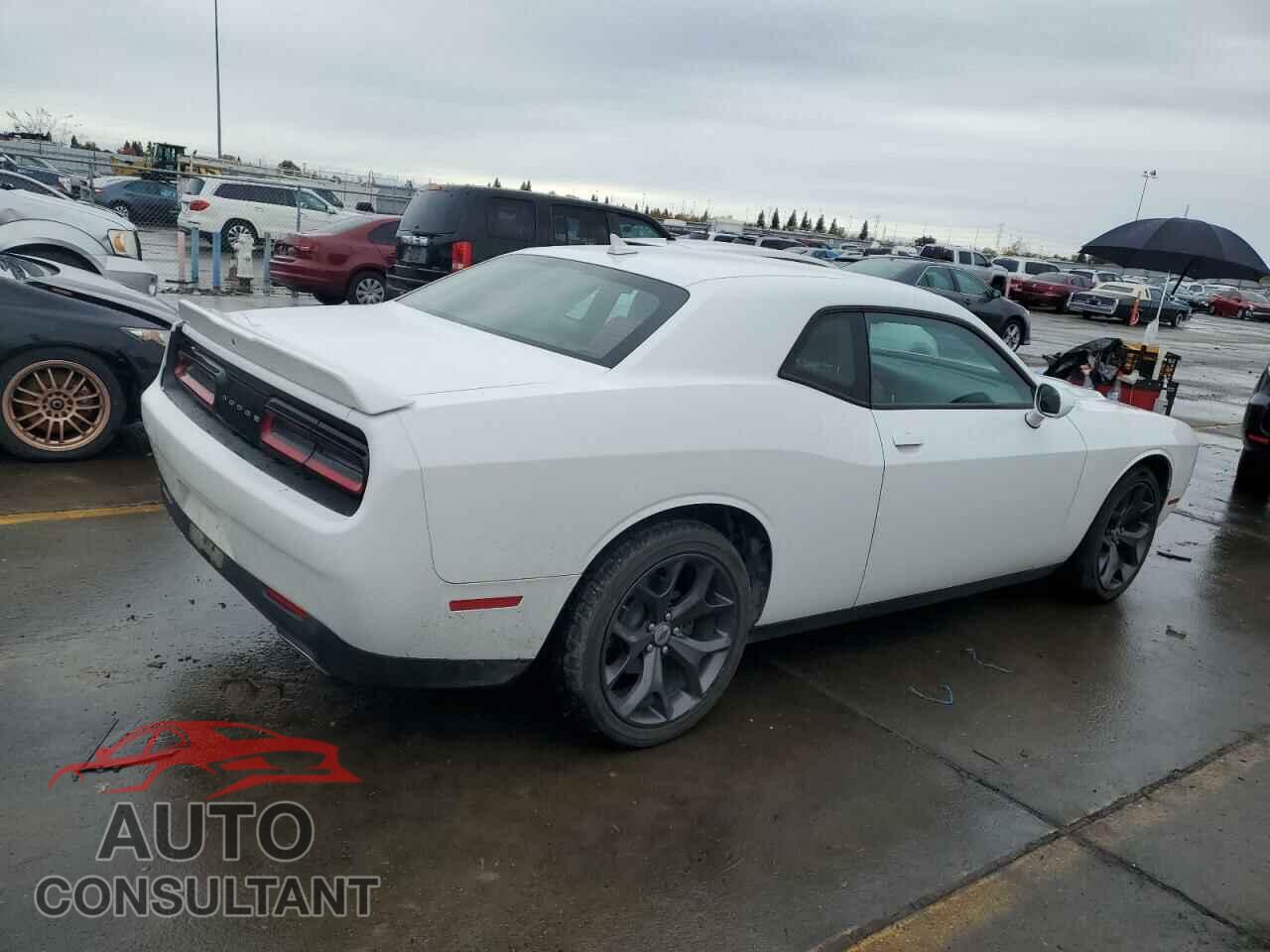 DODGE CHALLENGER 2019 - 2C3CDZAG0KH719463