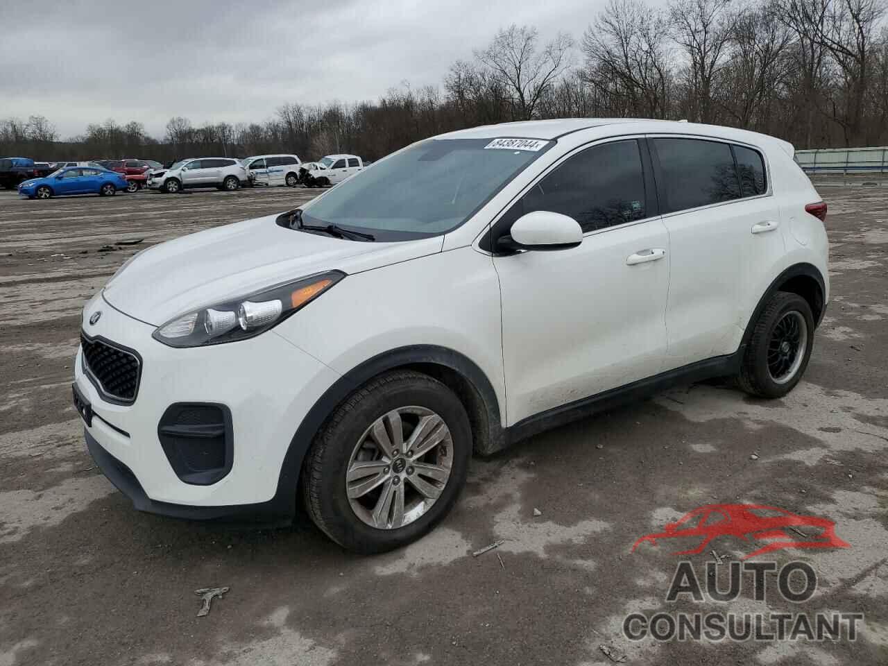 KIA SPORTAGE 2018 - KNDPM3AC8J7486014