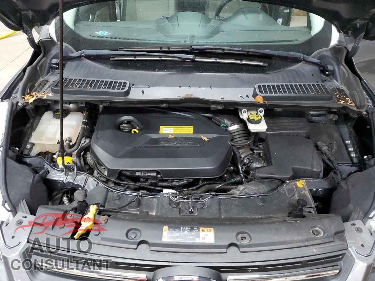 FORD ESCAPE 2014 - 1FMCU9GX2EUC45211