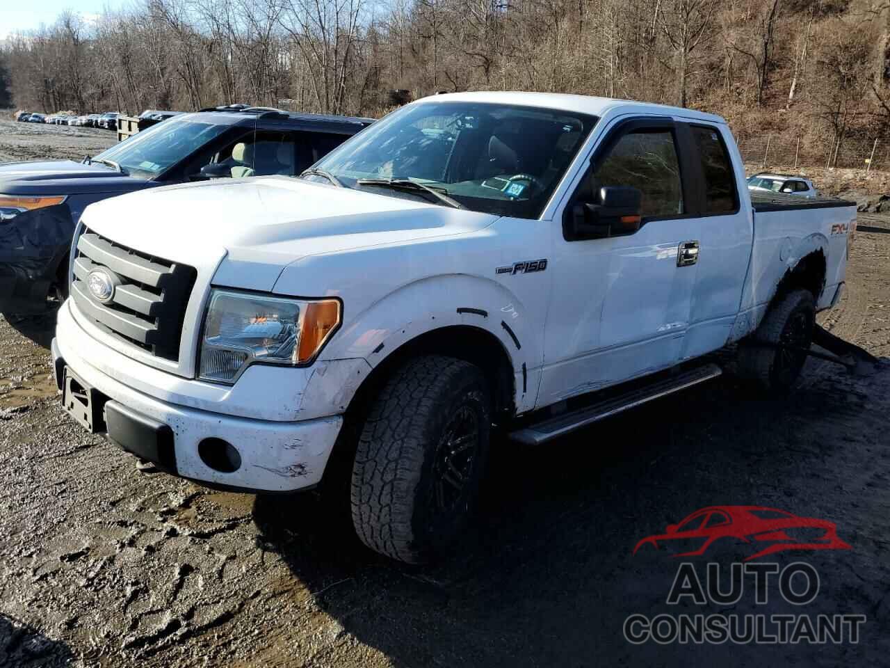 FORD F-150 2009 - 1FTPX14V19FB27453