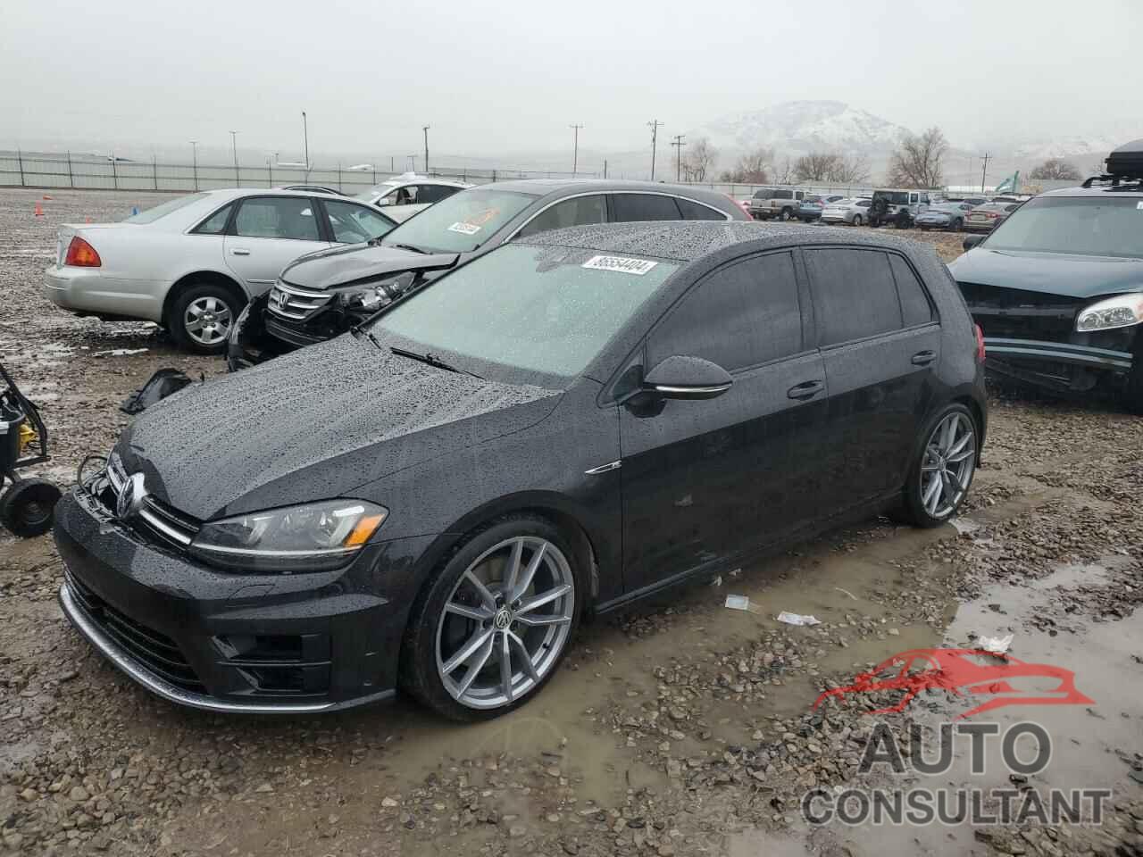 VOLKSWAGEN GOLF 2017 - WVWVF7AU6HW169916