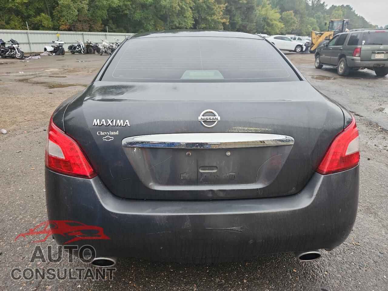 NISSAN MAXIMA 2011 - 1N4AA5AP0BC816854