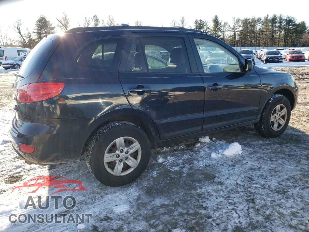 HYUNDAI SANTA FE 2009 - 5NMSG13D29H310480
