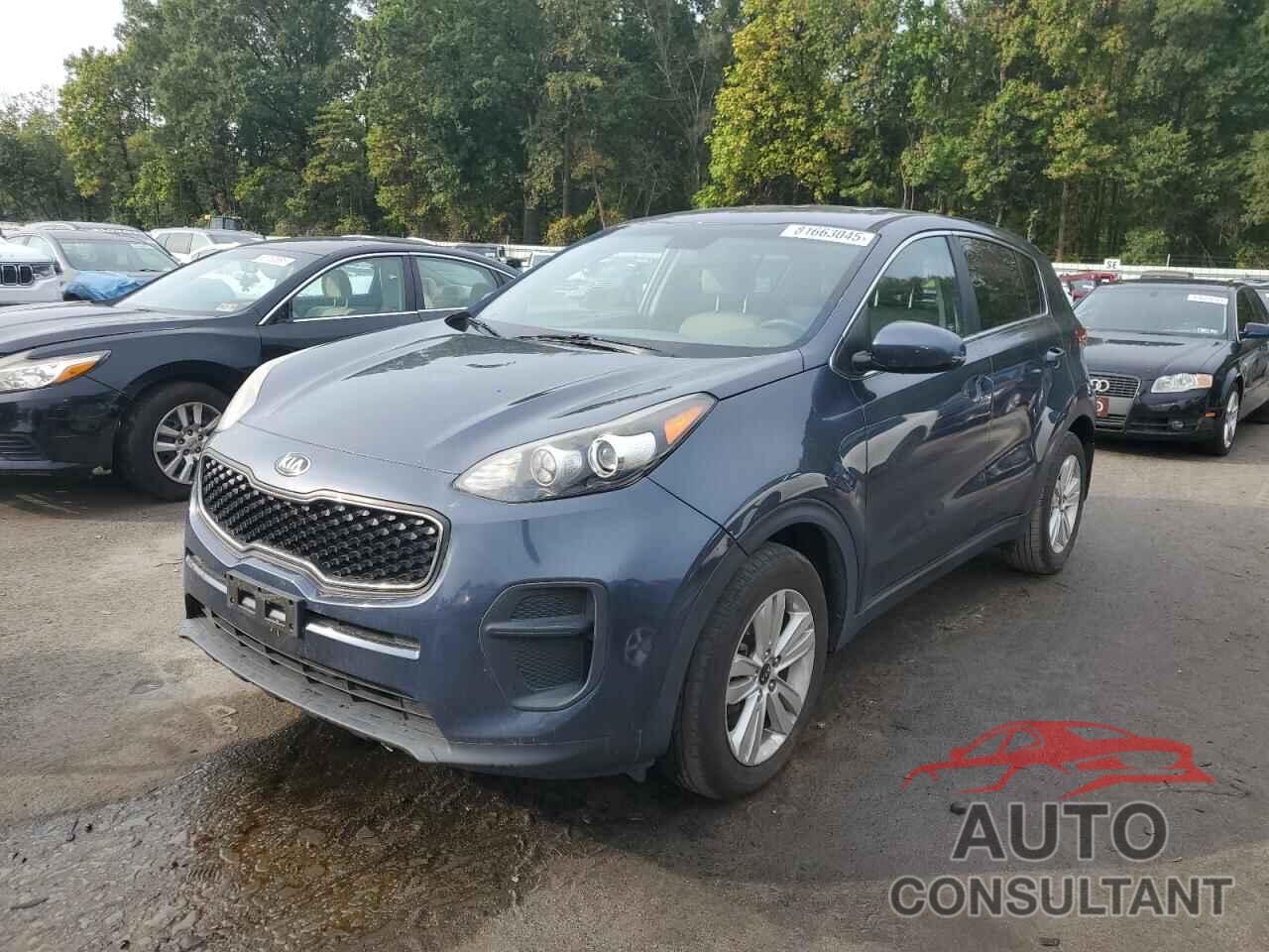 KIA SPORTAGE 2017 - KNDPM3AC1H7117750
