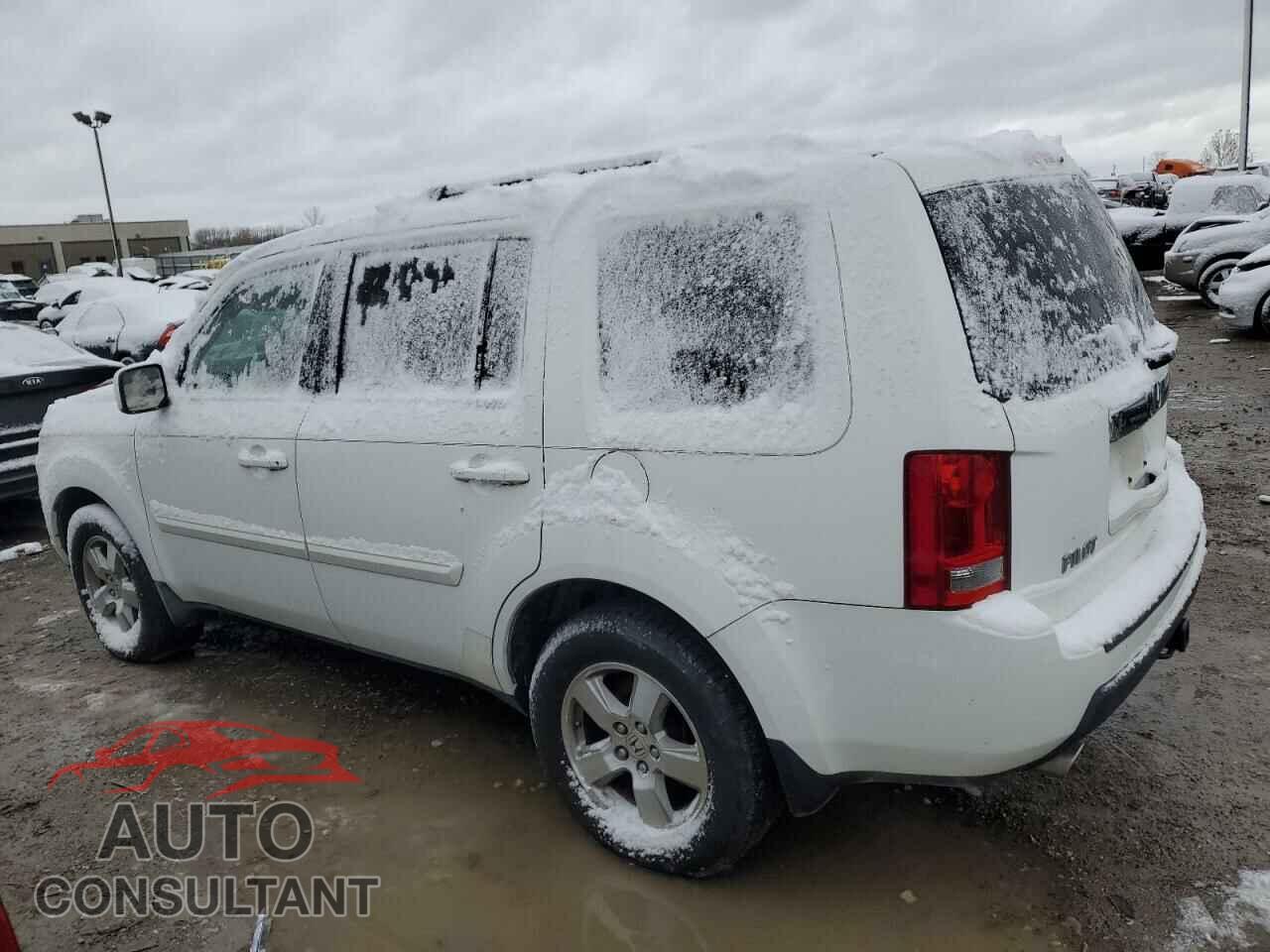 HONDA PILOT 2009 - 5FNYF38559B016020
