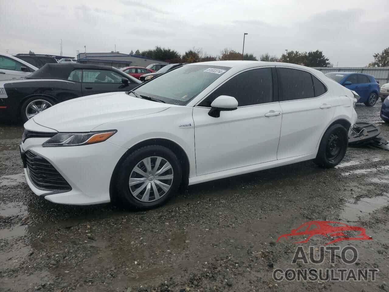 TOYOTA CAMRY 2019 - 4T1B31HK5KU517698
