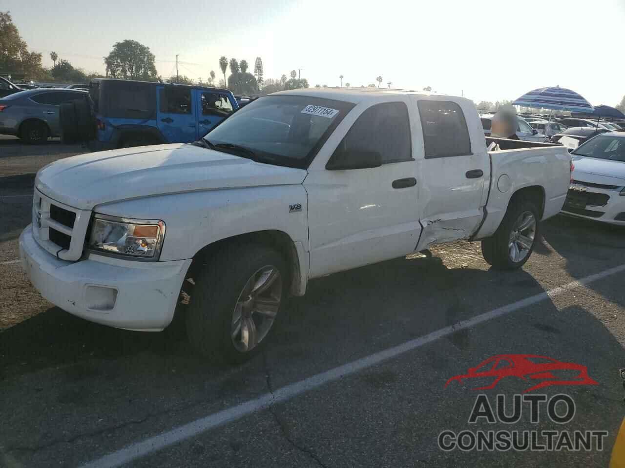 DODGE DAKOTA 2011 - 1D7RE3GP0BS602729