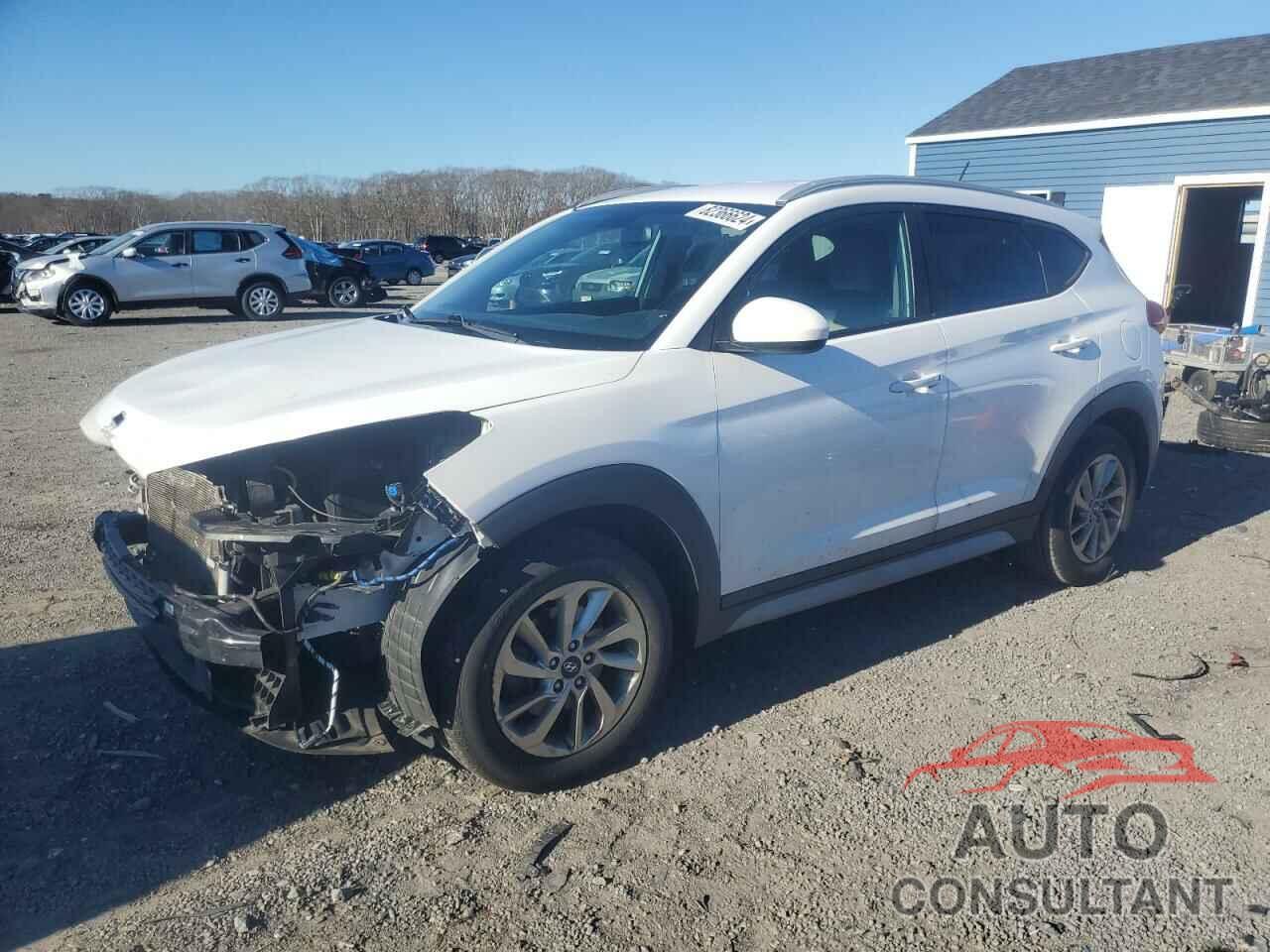 HYUNDAI TUCSON 2017 - KM8J33A48HU407546