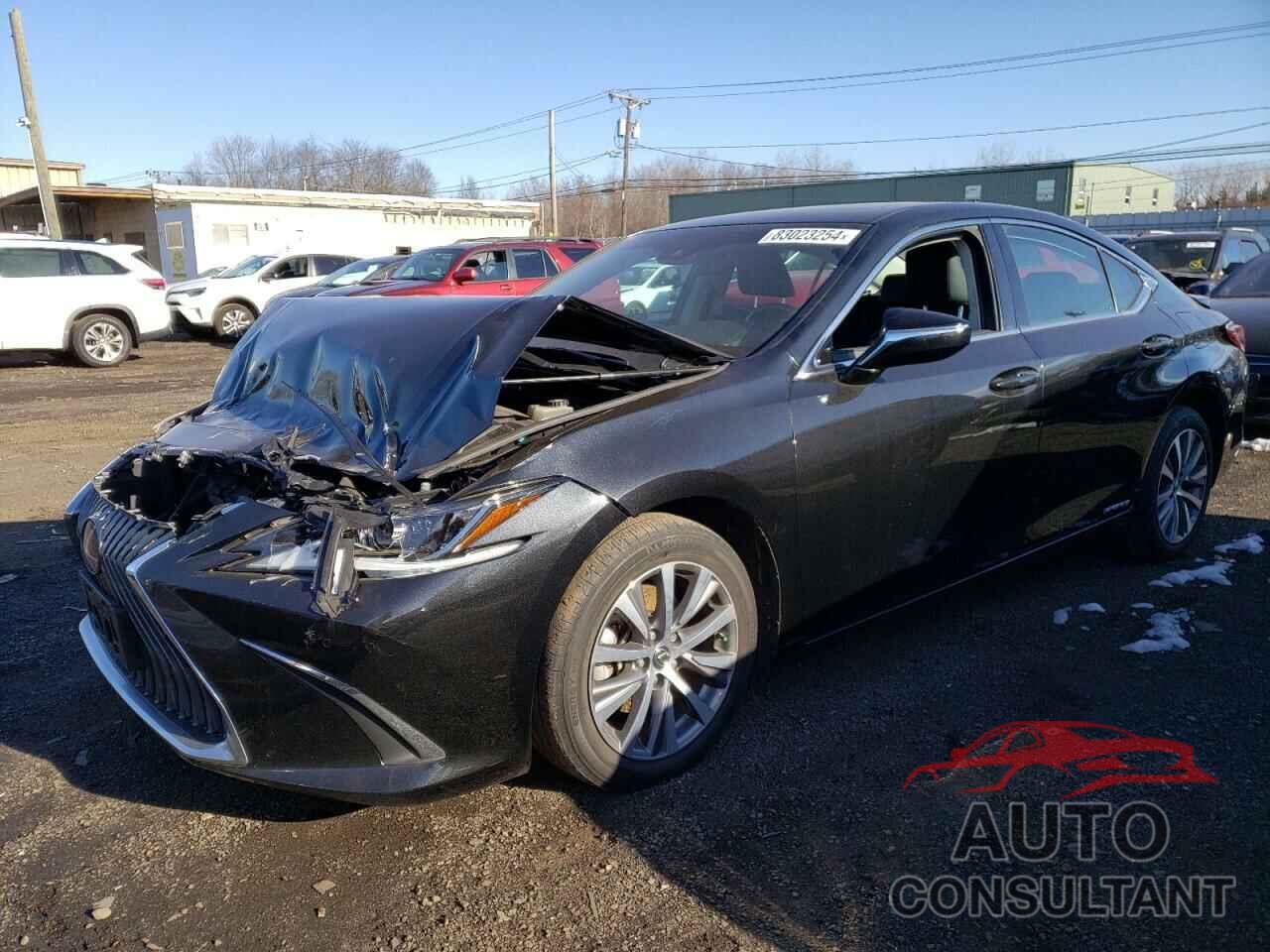 LEXUS ES300 2021 - 58ADA1C1XMU002690