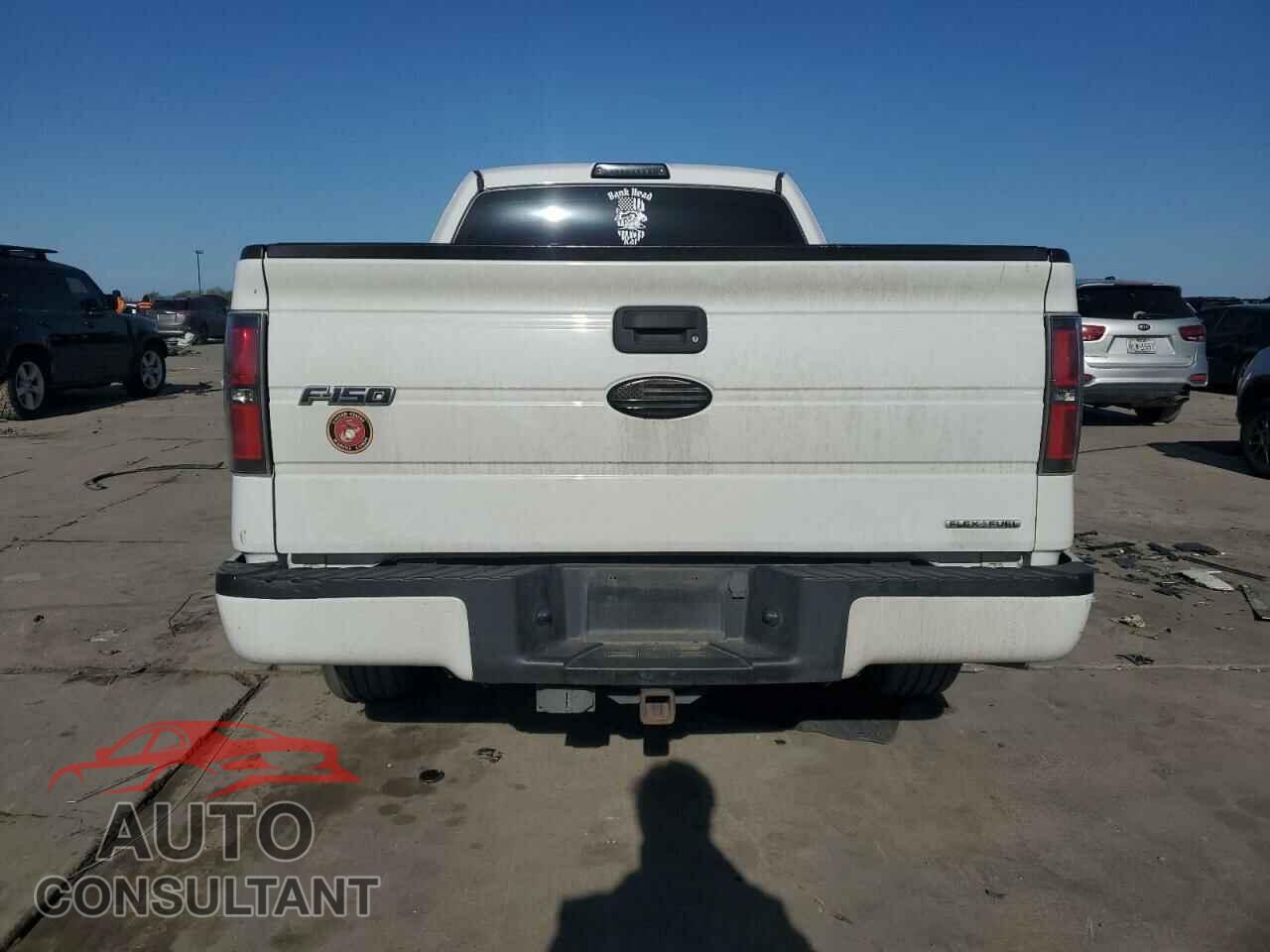 FORD F-150 2013 - 1FTFX1CF9DFD80955