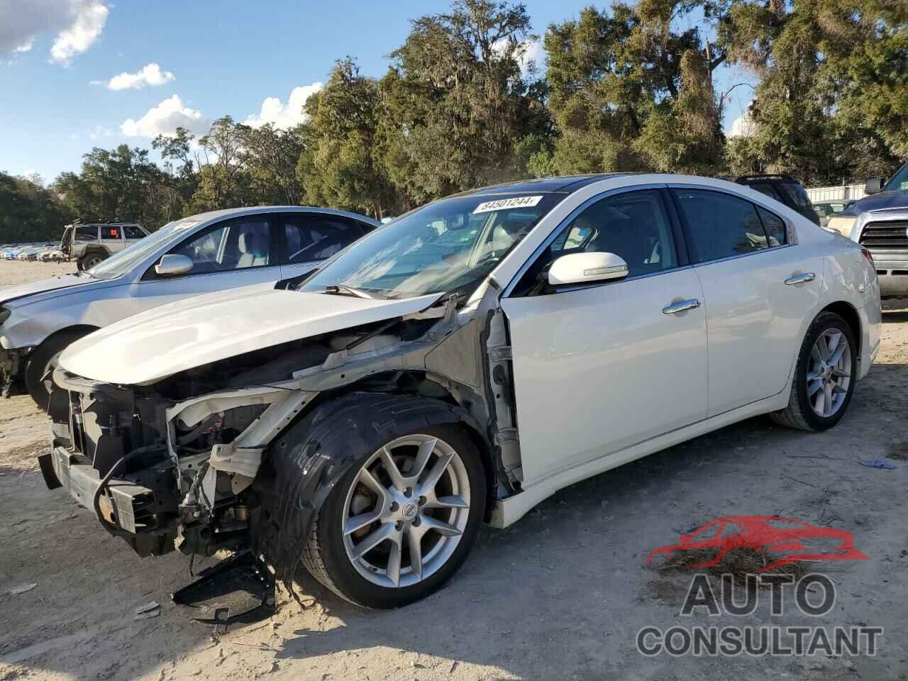 NISSAN MAXIMA 2010 - 1N4AA5AP4AC835034