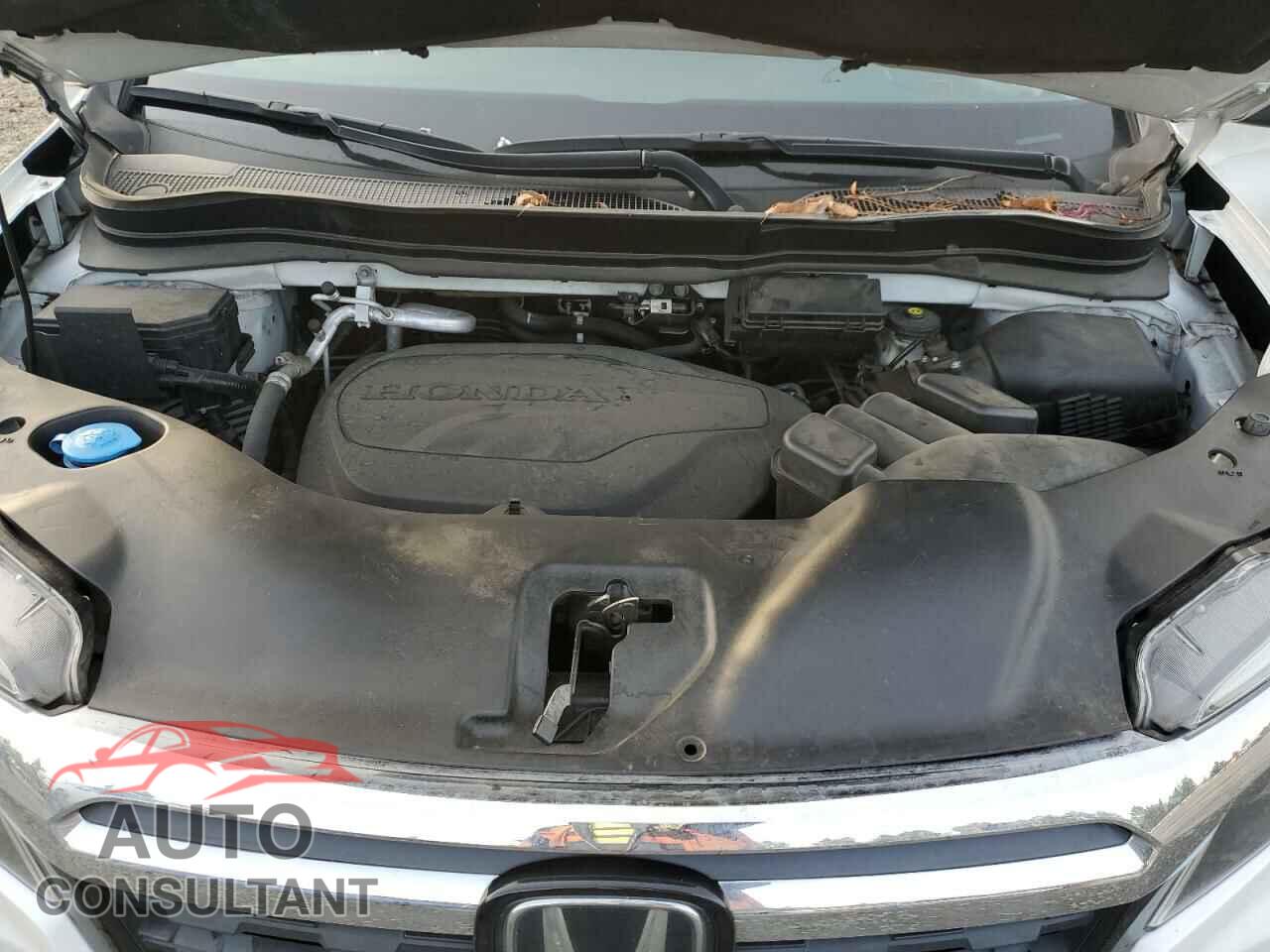 HONDA RIDGELINE 2020 - 5FPYK3F13LB020786