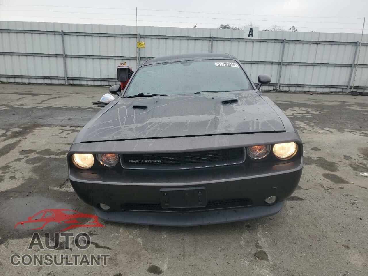 DODGE CHALLENGER 2014 - 2C3CDYAG9EH153155