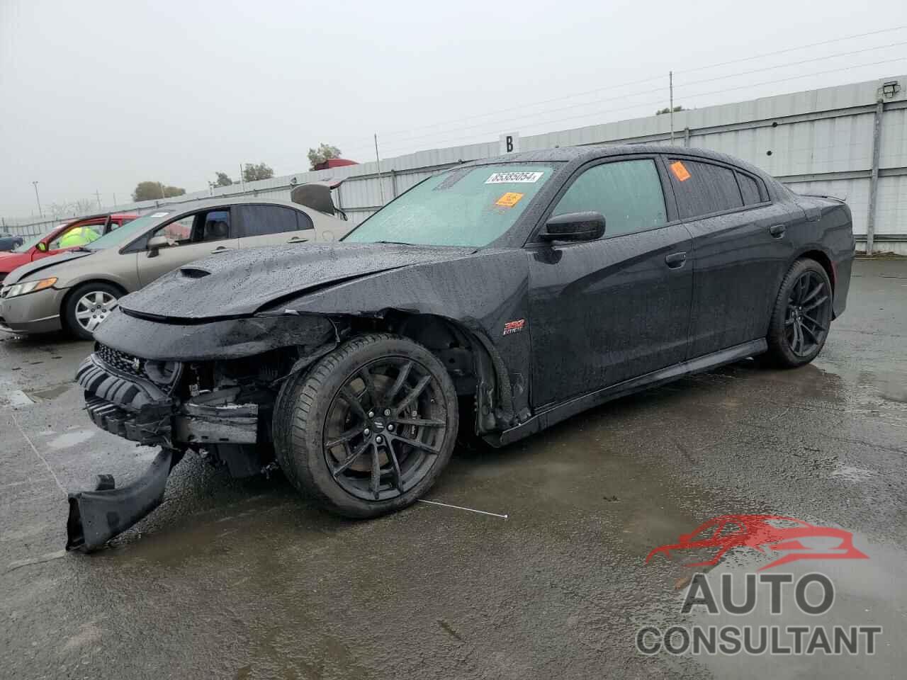 DODGE CHARGER 2020 - 2C3CDXGJ0LH216461