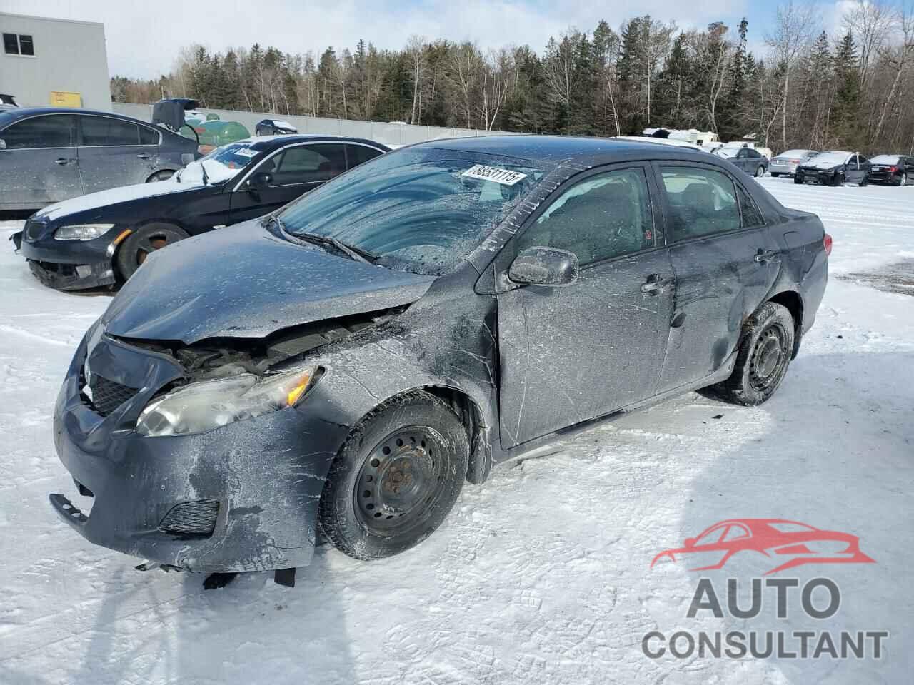 TOYOTA COROLLA 2010 - 2T1BU4EE3AC333521