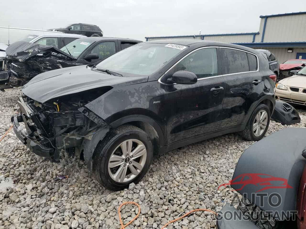 KIA SPORTAGE 2017 - KNDPMCAC0H7116914