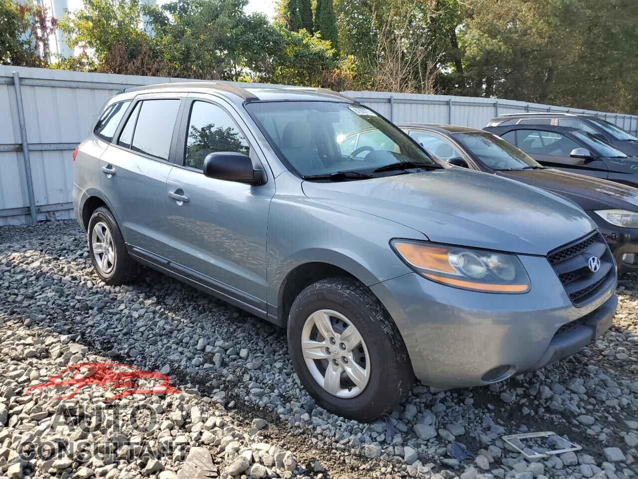 HYUNDAI SANTA FE 2009 - 5NMSG13D19H259635