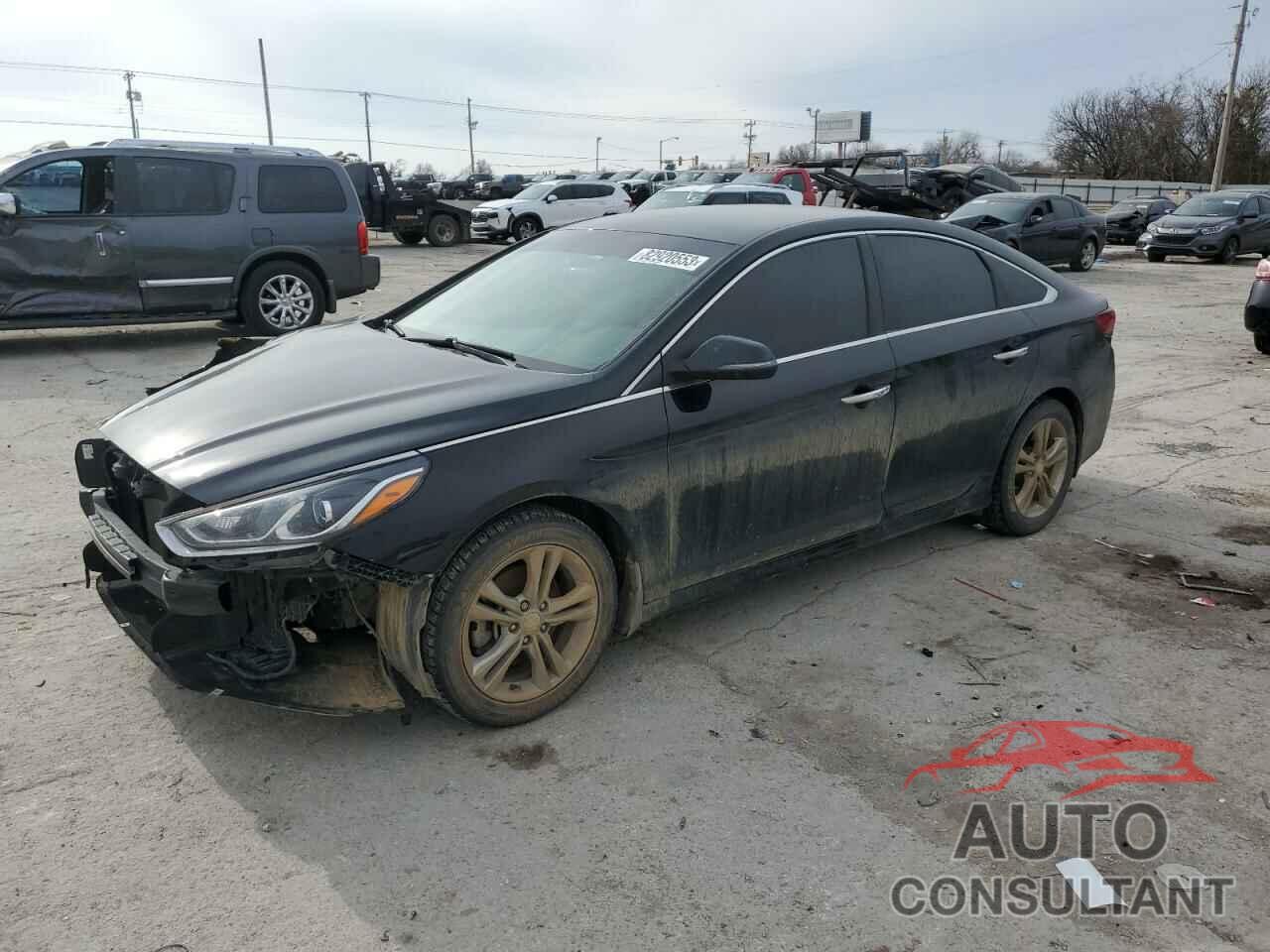HYUNDAI SONATA 2018 - 5NPE34AF4JH676141