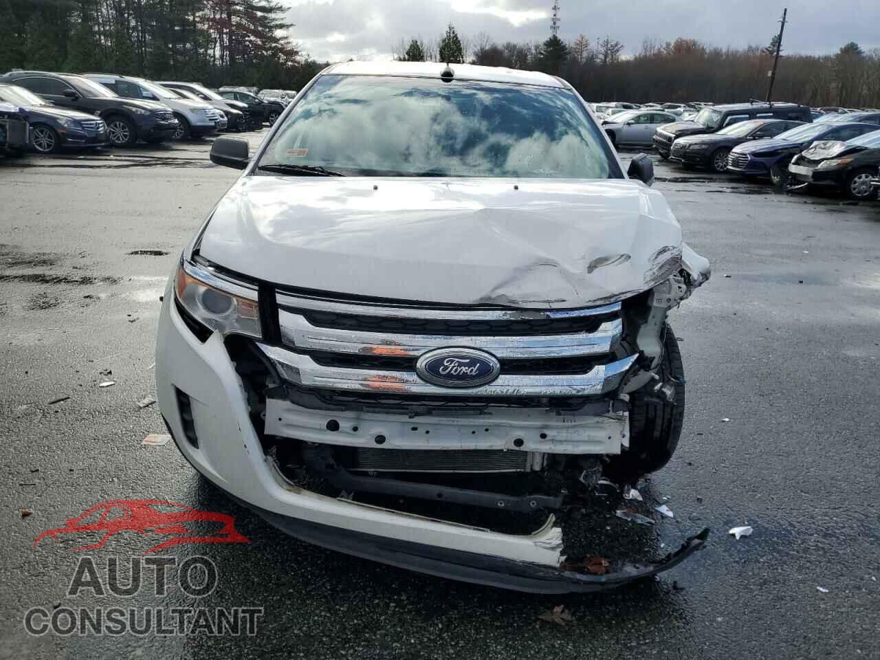 FORD EDGE 2014 - 2FMDK4GC3EBA77496