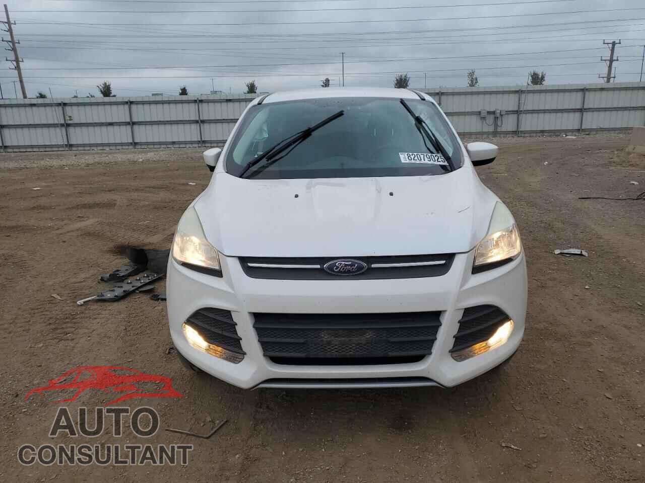 FORD ESCAPE 2014 - 1FMCU9GXXEUD85555