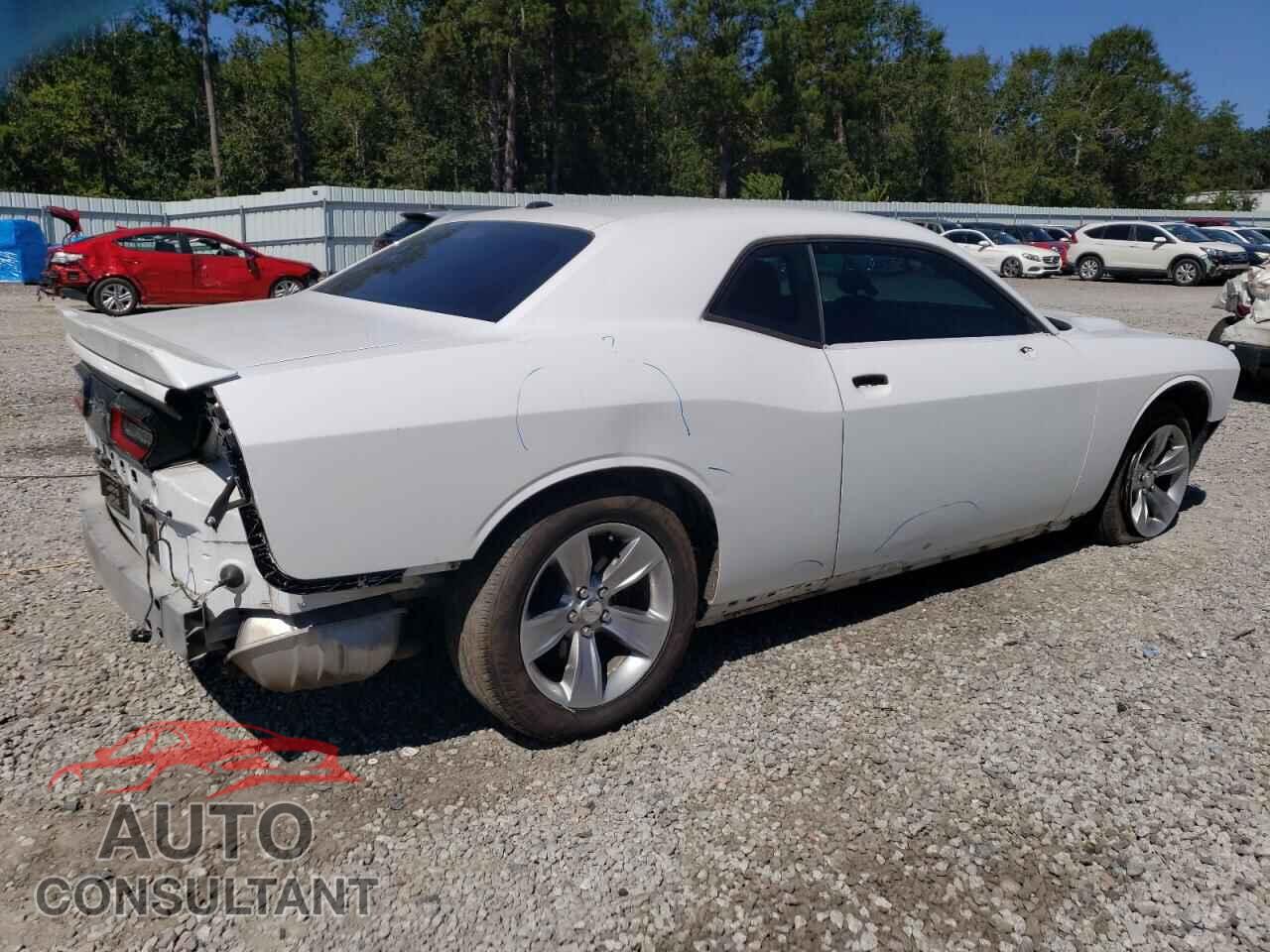 DODGE CHALLENGER 2019 - 2C3CDZAG2KH746647