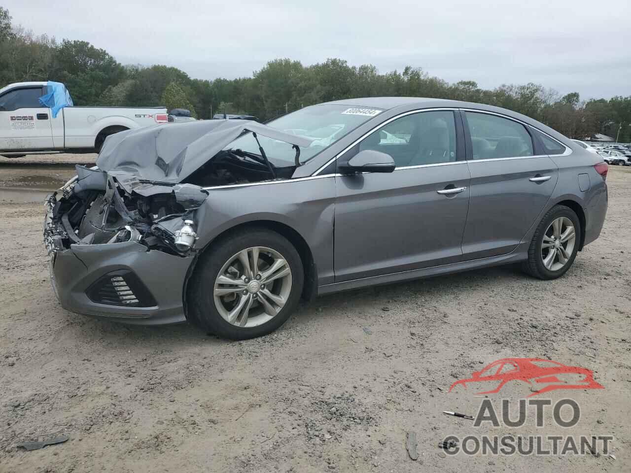 HYUNDAI SONATA 2019 - 5NPE34AF8KH819867