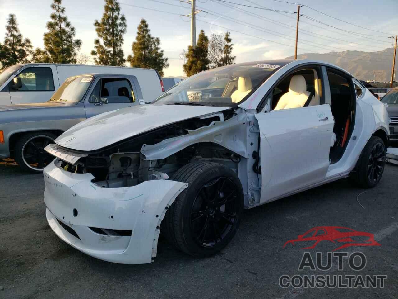 TESLA MODEL Y 2022 - 7SAYGDEE2NF438847