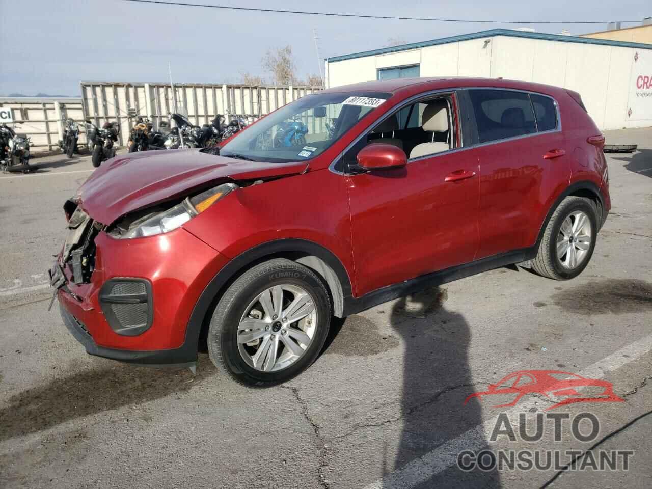 KIA SPORTAGE 2019 - KNDPM3AC3K7531815