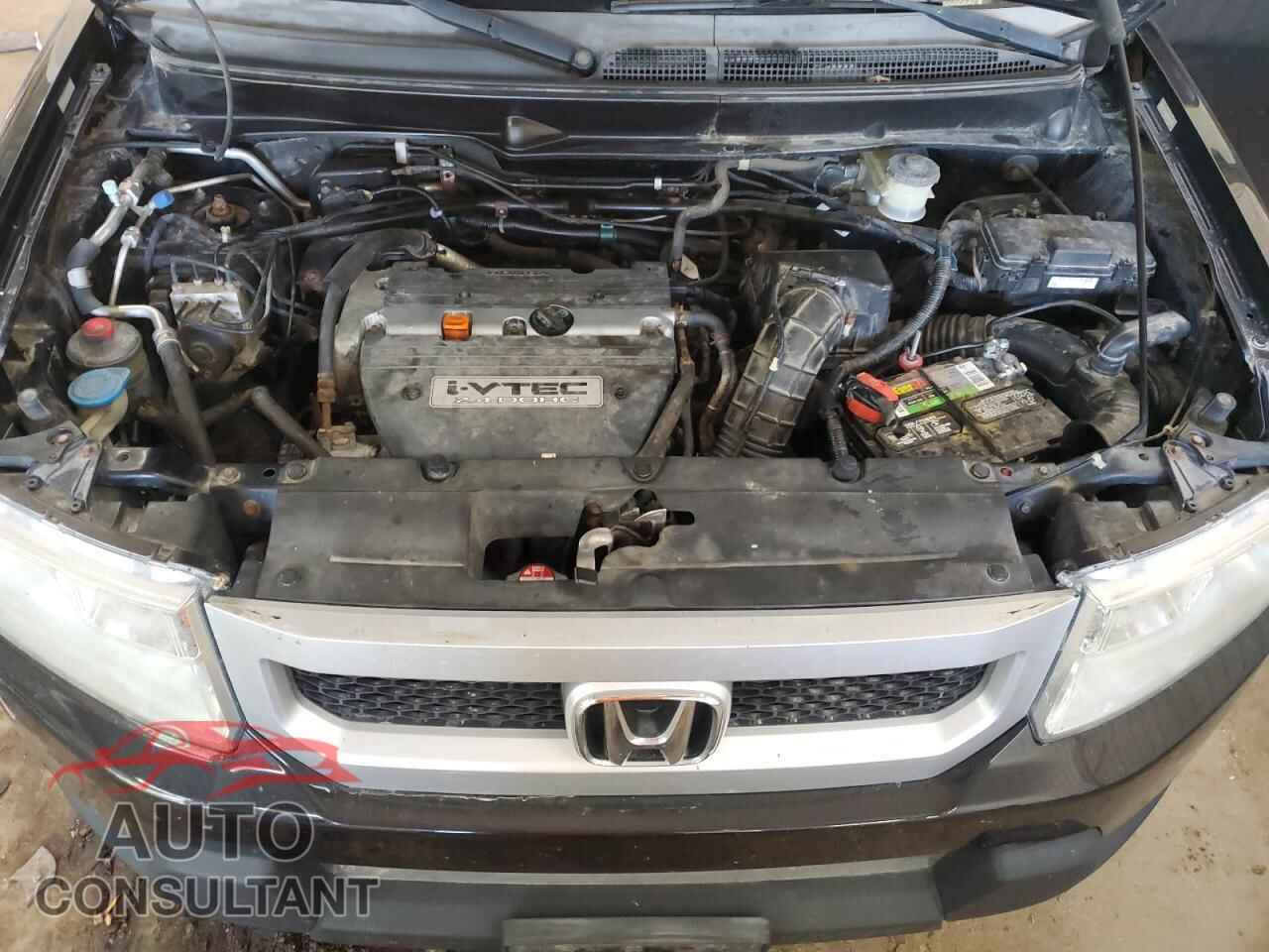 HONDA ELEMENT 2009 - 5J6YH28749L001943