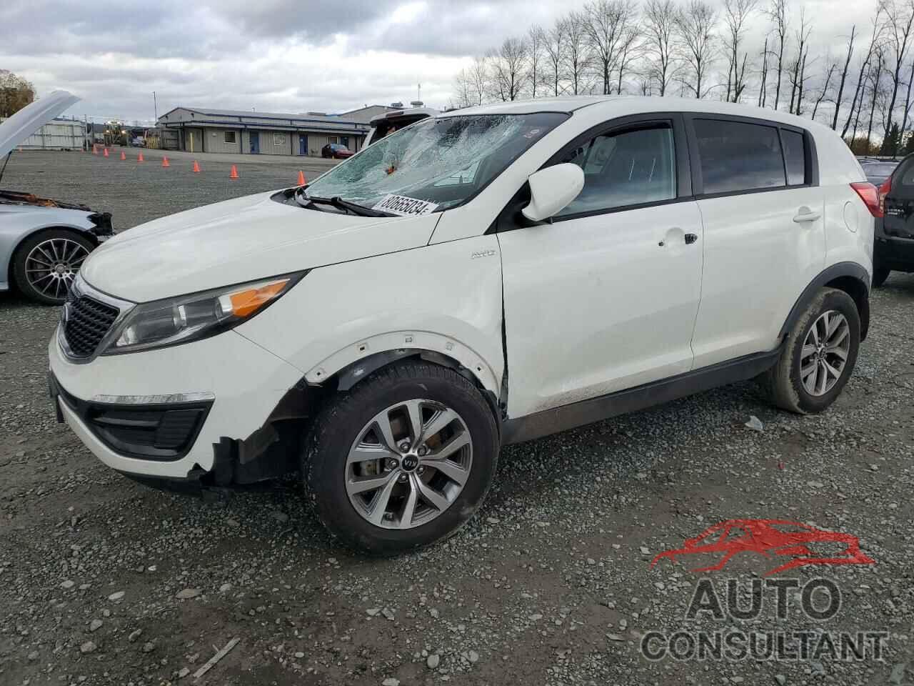 KIA SPORTAGE 2016 - KNDPBCAC8G7814448