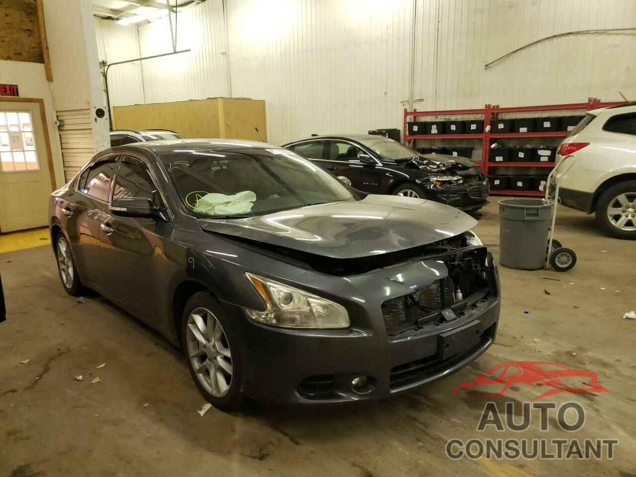 NISSAN MAXIMA 2011 - 1N4AA5AP1BC841150