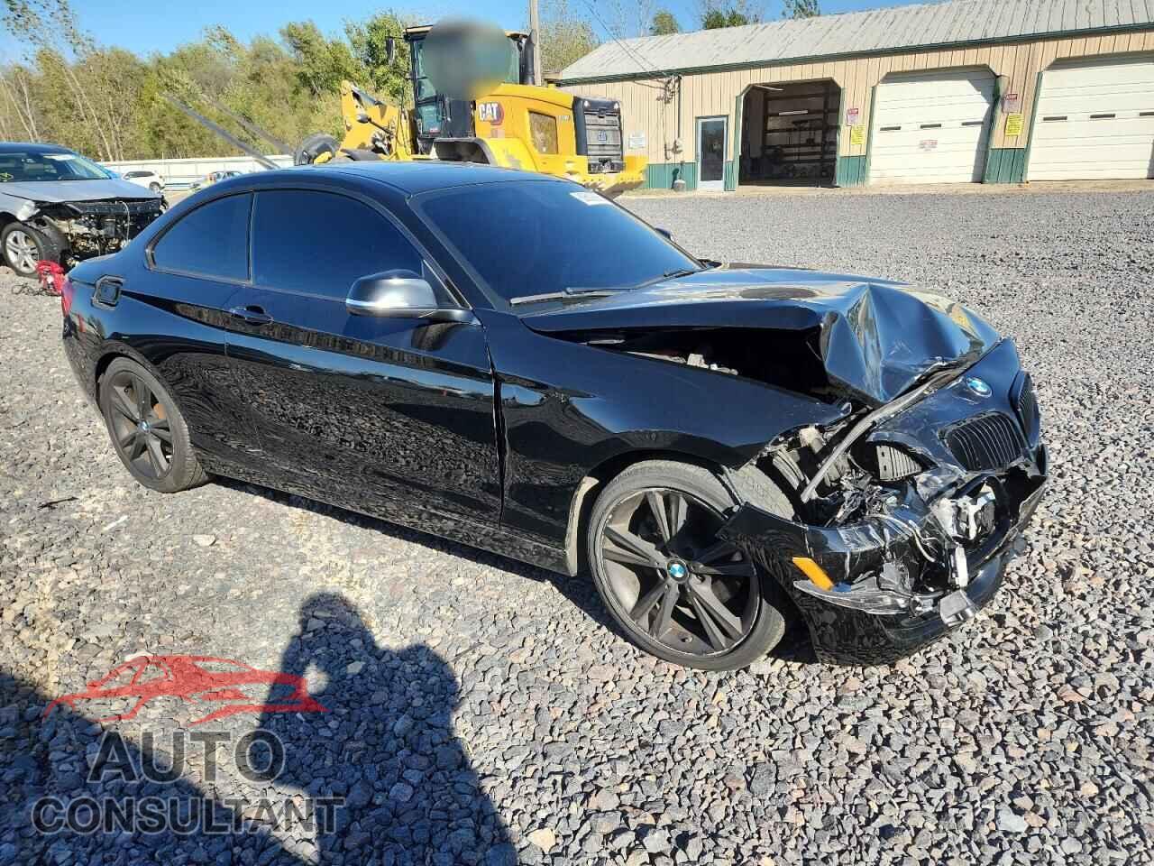 BMW 2 SERIES 2015 - WBA1F7C52FVX96357