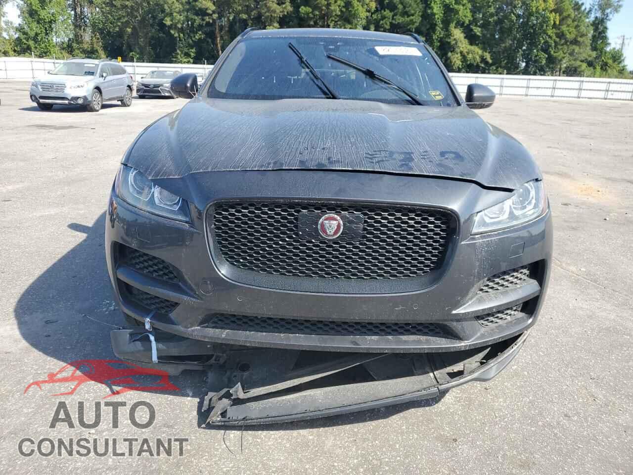 JAGUAR F-PACE 2019 - SADCK2FX7KA610664