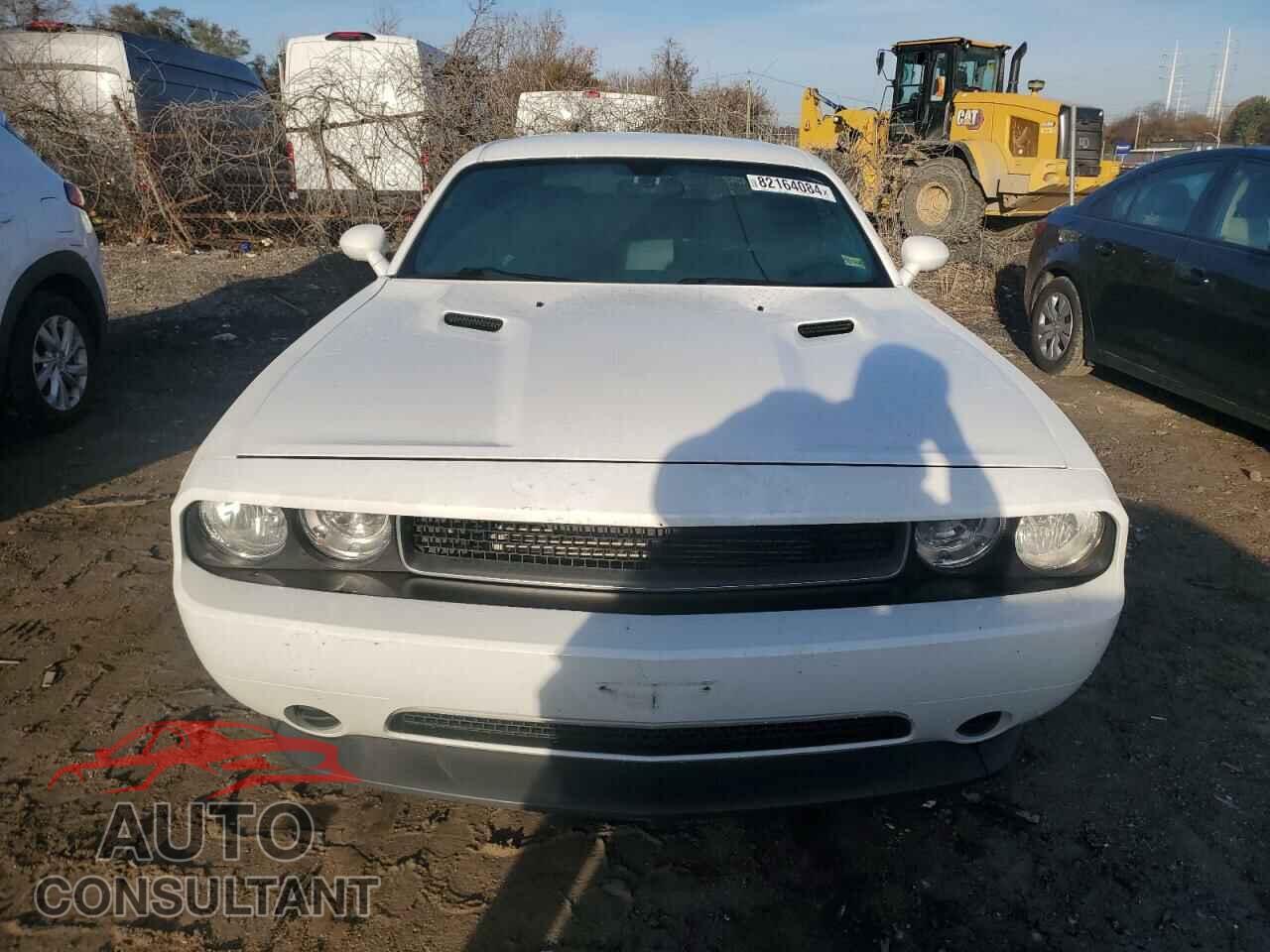 DODGE CHALLENGER 2013 - 2C3CDYAG3DH607849