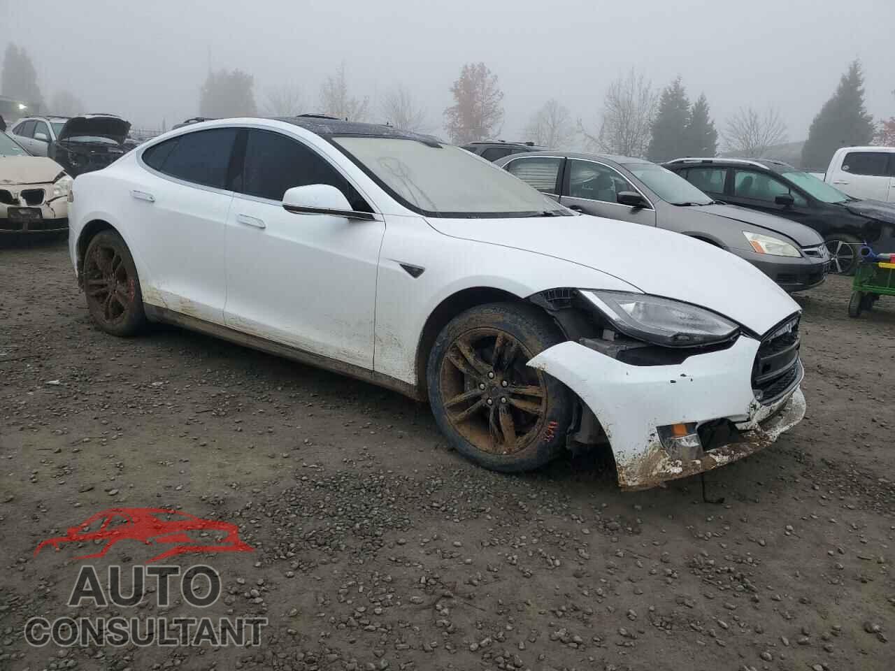 TESLA MODEL S 2013 - 5YJSA1CG3DFP16662