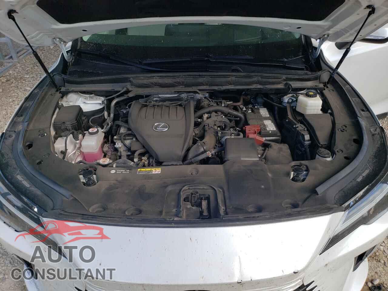 LEXUS RX350 2023 - 2T2BAMCA4PC025285