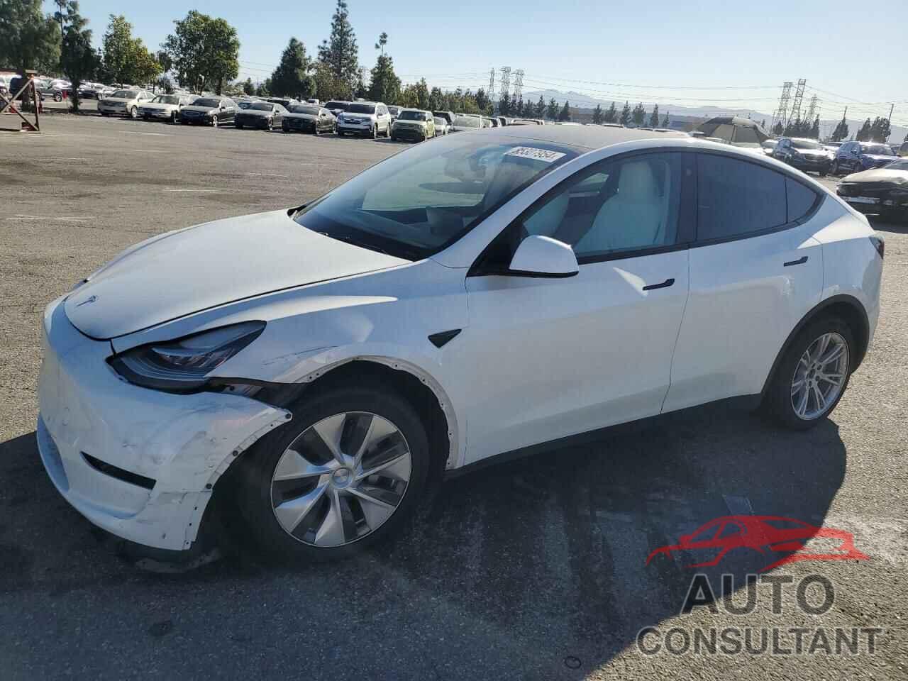 TESLA MODEL Y 2021 - 5YJYGDEE0MF274834