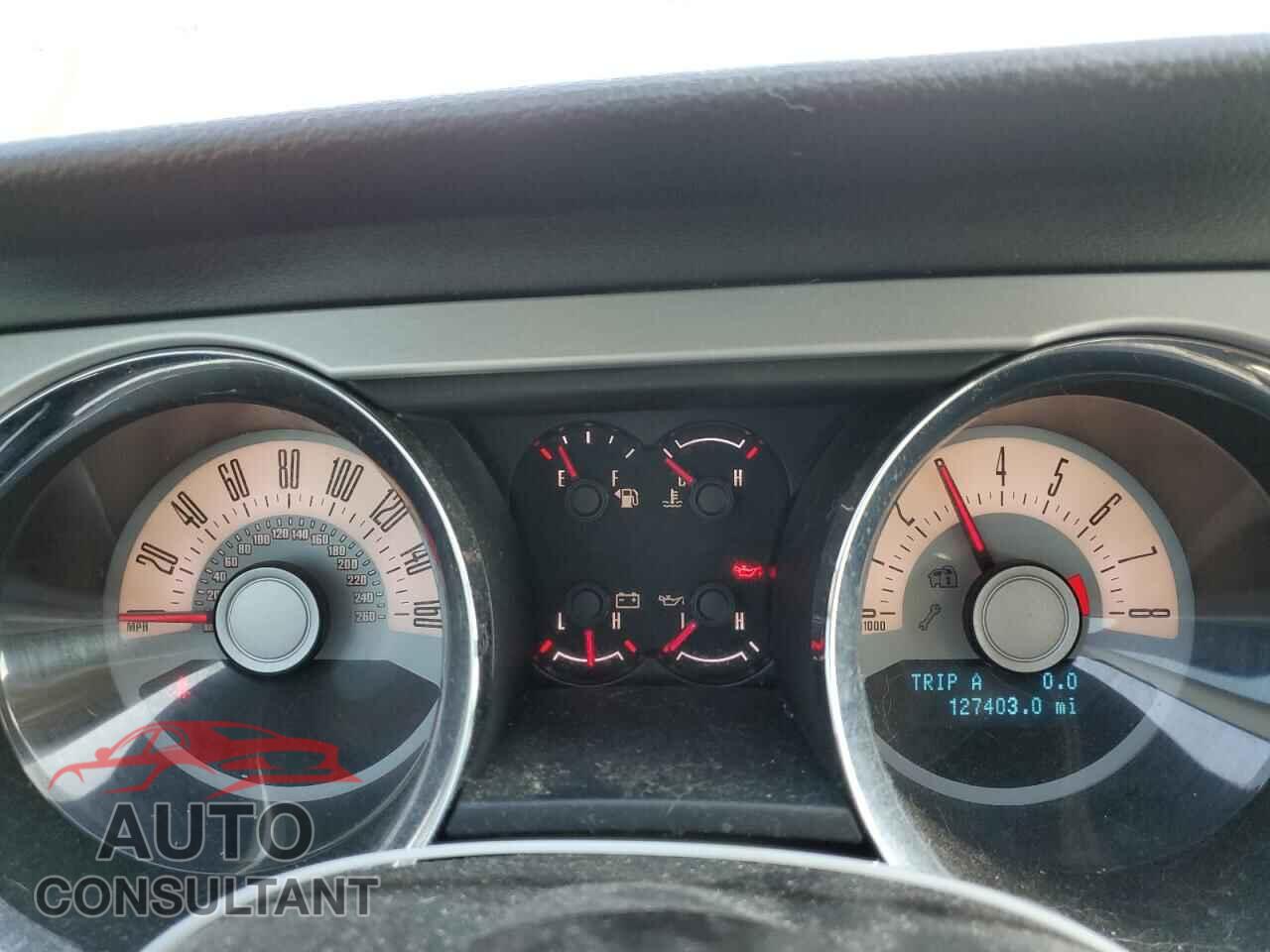 FORD MUSTANG 2011 - 1ZVBP8CF6B5137661