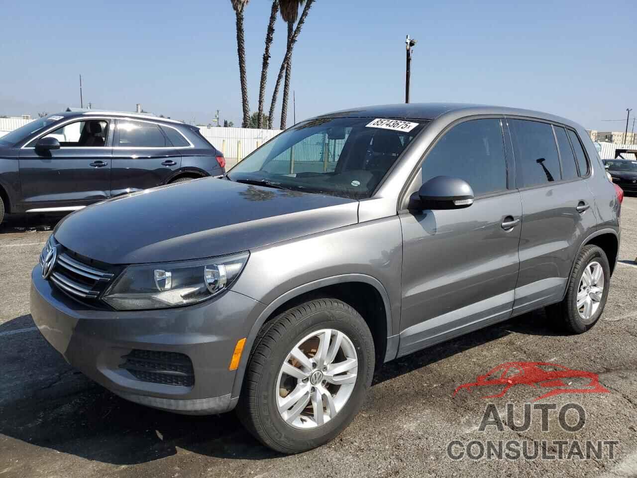 VOLKSWAGEN TIGUAN 2013 - WVGAV3AXXDW560819