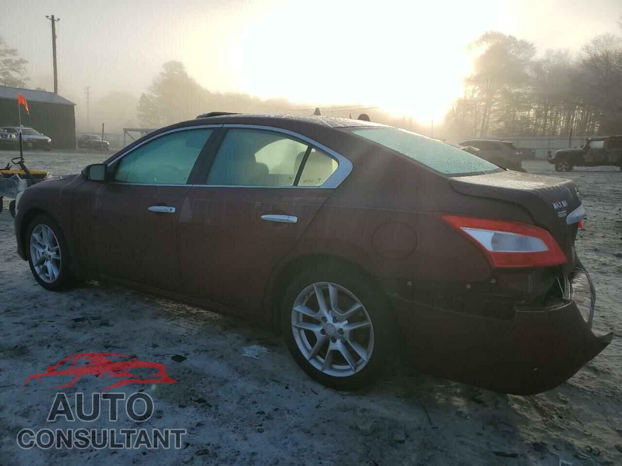 NISSAN MAXIMA 2011 - 1N4AA5AP8BC841033