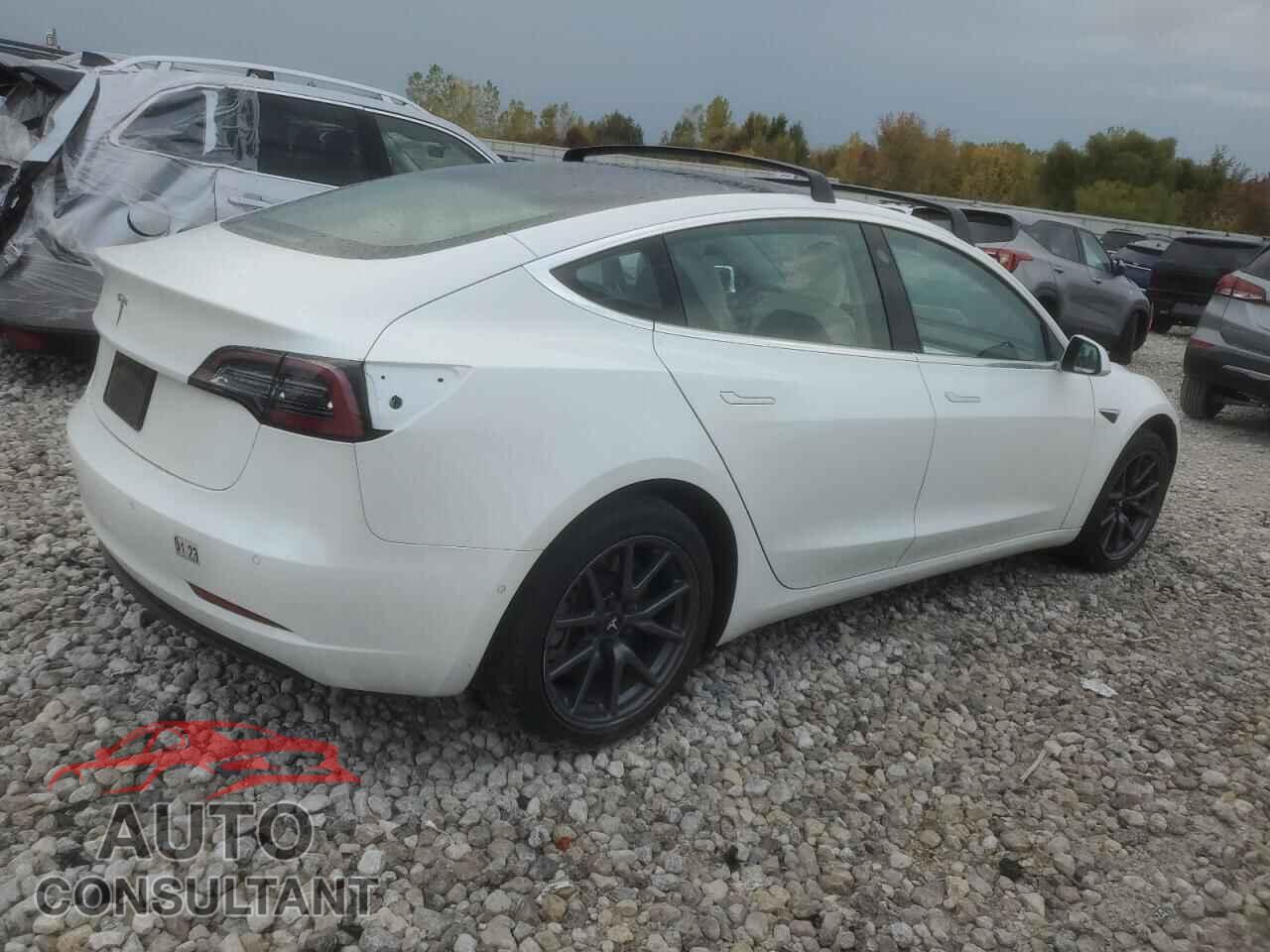 TESLA MODEL 3 2019 - 5YJ3E1EA9KF486169